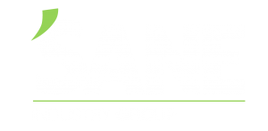 logo SANE inustry group_ENG